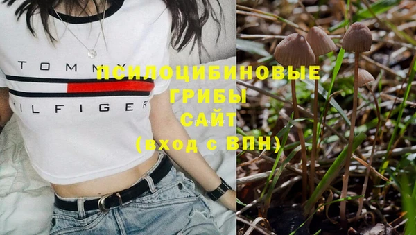 МДПВ Богданович