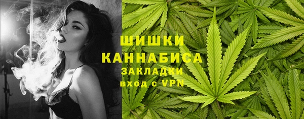 меф Богородицк