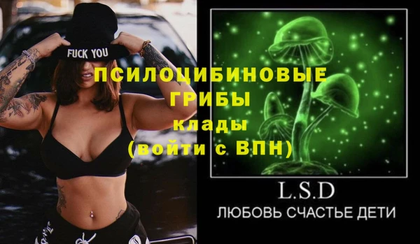 МДПВ Богданович