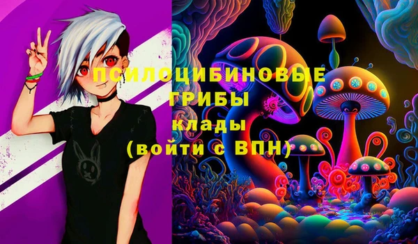 меф Богородицк