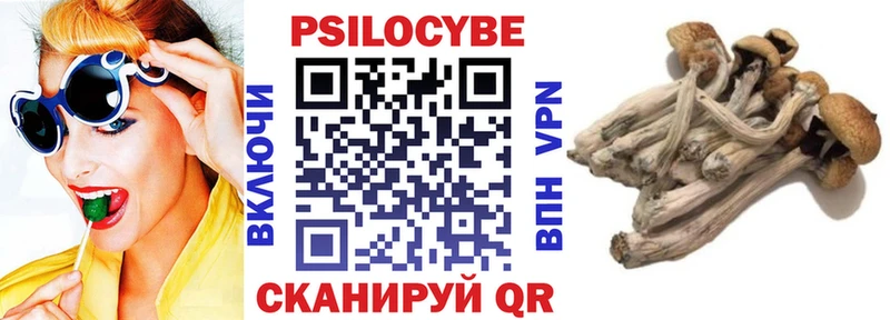 KRAKEN как войти  Нестеровская  Псилоцибиновые грибы Magic Shrooms  где купить наркоту 